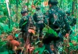 Hallan nuevos rastros de los niños perdidos en la selva del Guaviare image for Hallan nuevos rastros de los niños perdidos en la selva del Guaviare