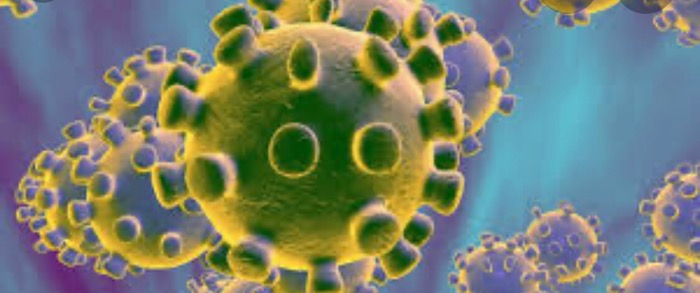 Actualição de pandemia en Sul América image for Actualição de pandemia en Sul América
