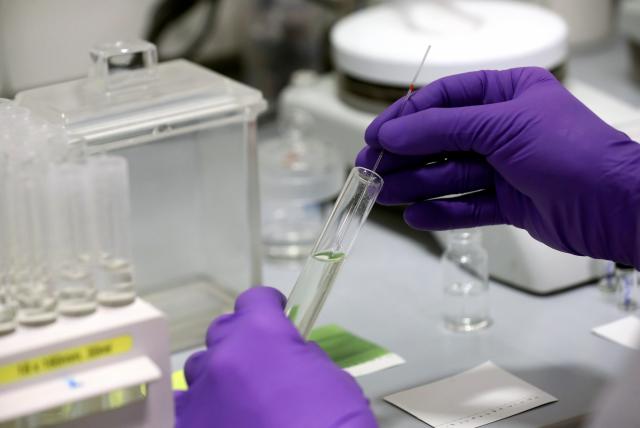 Nuevos 274 contagiados por coronavirus en el país image for Nuevos 274 contagiados por coronavirus en el país