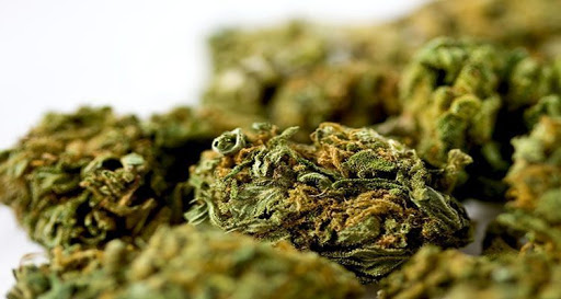 Incautan marihuana en registros de aeropuerto image for Incautan marihuana en registros de aeropuerto