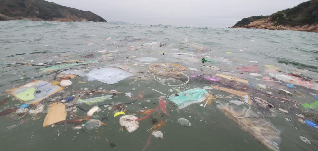 Máscaras estão se tornando uma nova fonte de poluição oceânica image for Máscaras estão se tornando uma nova fonte de poluição oceânica