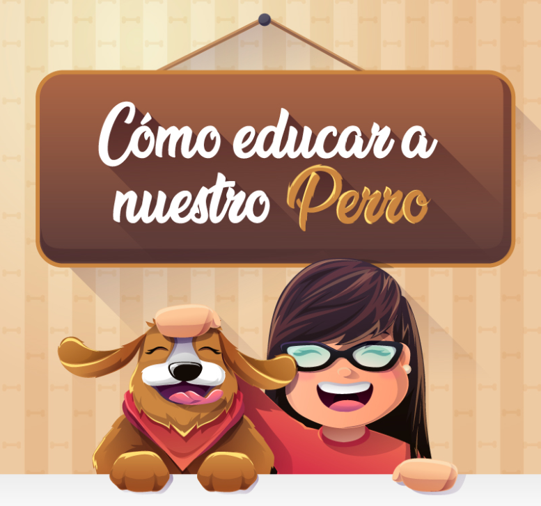 Cómo educar a un perro paso a paso image for Cómo educar a un perro paso a paso