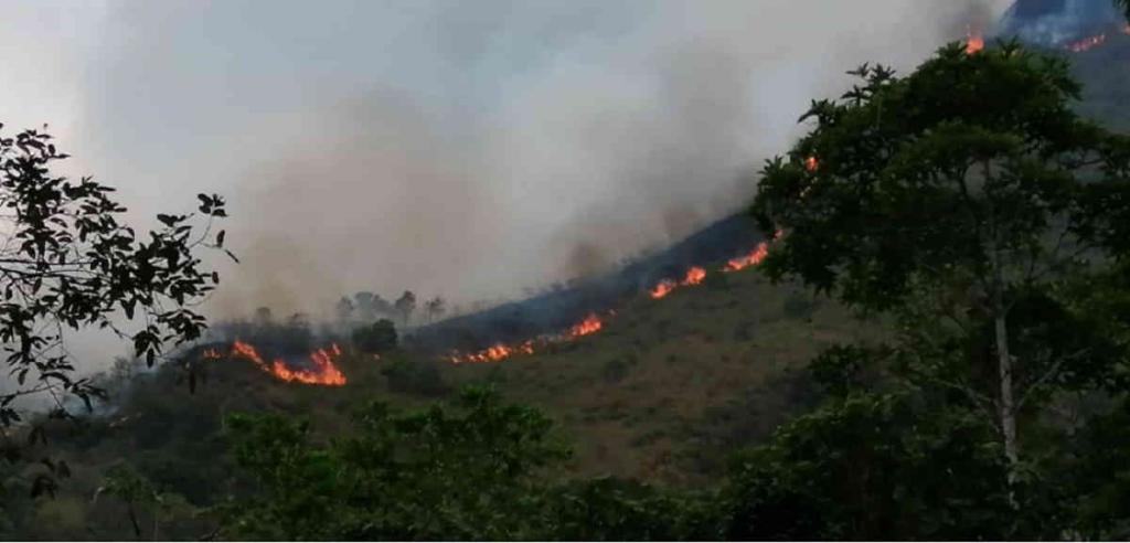 Incendios forestales en varios municipios de Cundinamarca image for Incendios forestales en varios municipios de Cundinamarca