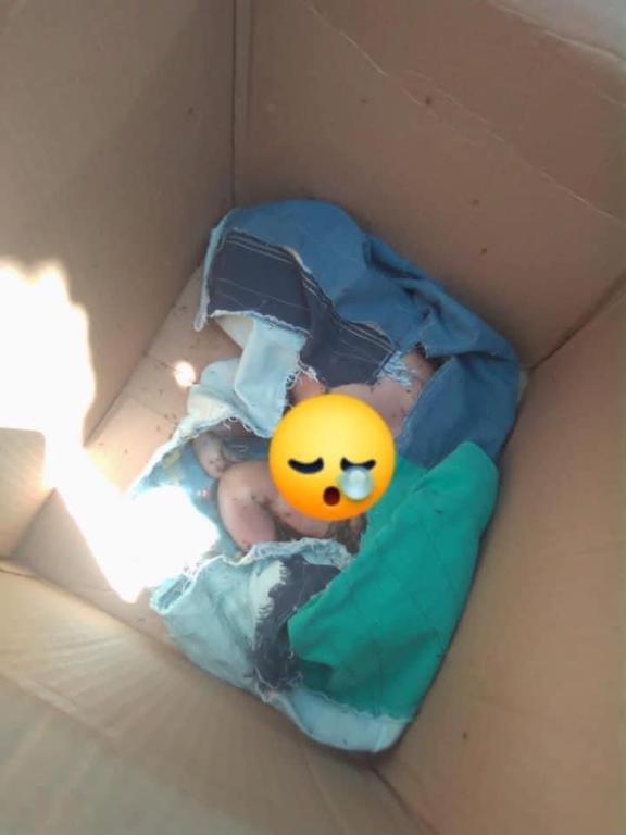 image for Recién nacido fue encontrado sin vida en una caja