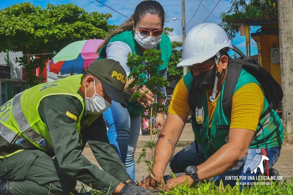 image for Día mundial del árbol | Reforestación de árboles frutales