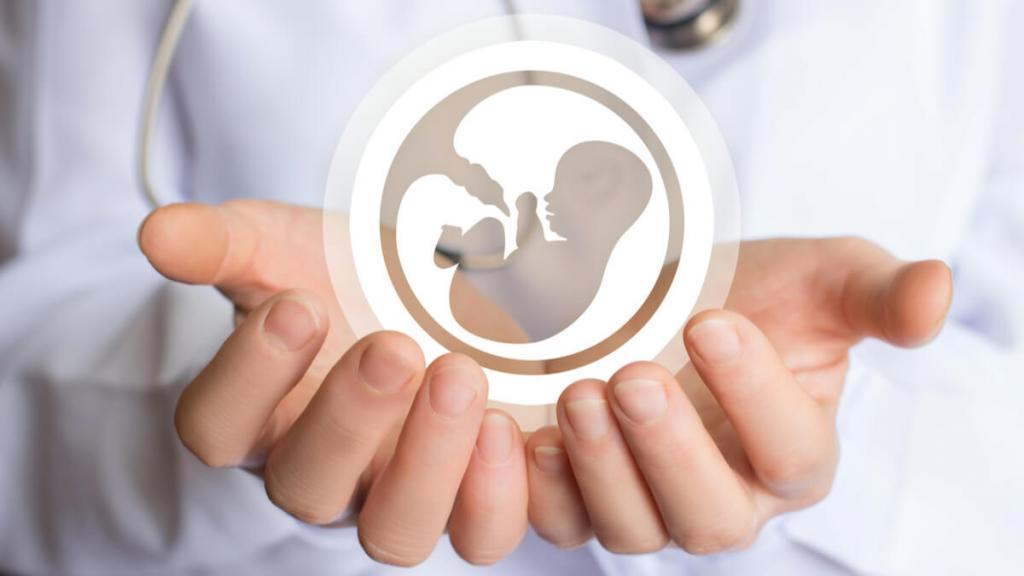 image for Aborto en su totalidad estaría cerca de ser despenalizado