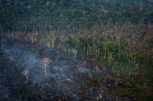 Amazonia brasileña el mayor número de incendios desde 2007 image for Amazonia brasileña el mayor número de incendios desde 2007