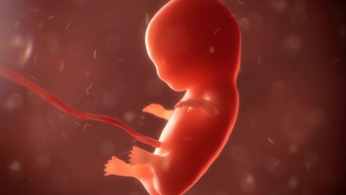 Corte Constitucional se declara inhibida para emitir un nuevo fallo alrededor del aborto image for Corte Constitucional se declara inhibida para emitir un nuevo fallo alrededor del aborto