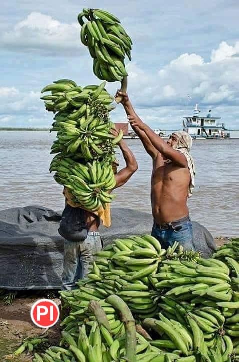 Precios del plátano se disparan image for Precios del plátano se disparan