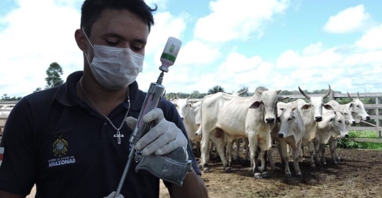 Segunda etapa da campanha terá cerca de 260 mil doses de vacina image for Segunda etapa da campanha terá cerca de 260 mil doses de vacina