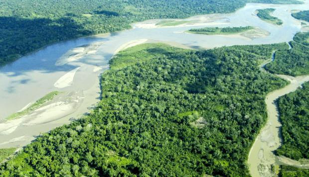 Cinco prioridades para salvar la Amazonía image for Cinco prioridades para salvar la Amazonía