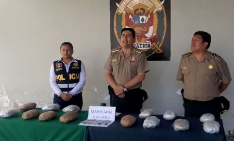 Encuentran 8 kilos de marihuana al detener a hombre por intento de feminicidio image for Encuentran 8 kilos de marihuana al detener a hombre por intento de feminicidio