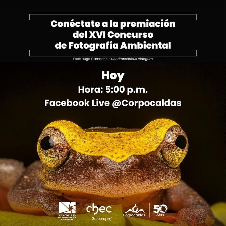 image for Hoy conocerás  conocerás los ganadores del XVI Concurso de Fotografía Ambiental