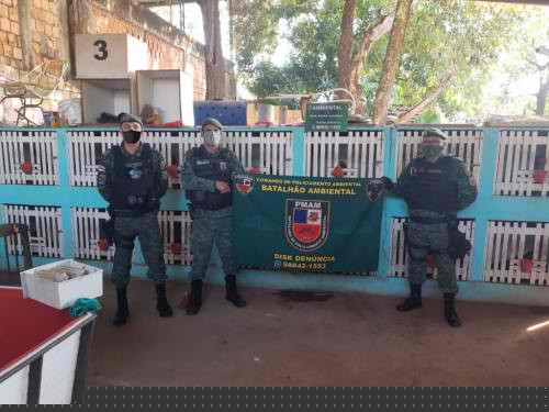 Polícia Militar desmonta rinha de galos image for Polícia Militar desmonta rinha de galos