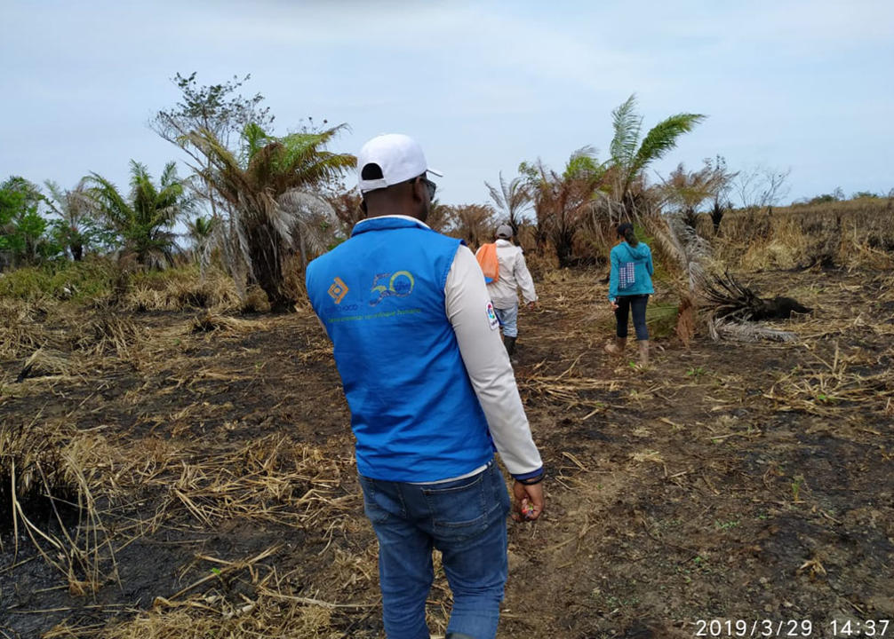 Despues de cuatro dias de llamas finaliza incendio en Parque Nacional Personas caminando por una zona consumida por un incendio ya controlado