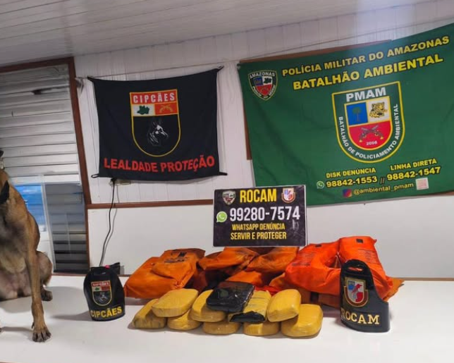 image for Cadela policial apreende 12 kg de droga em balsa