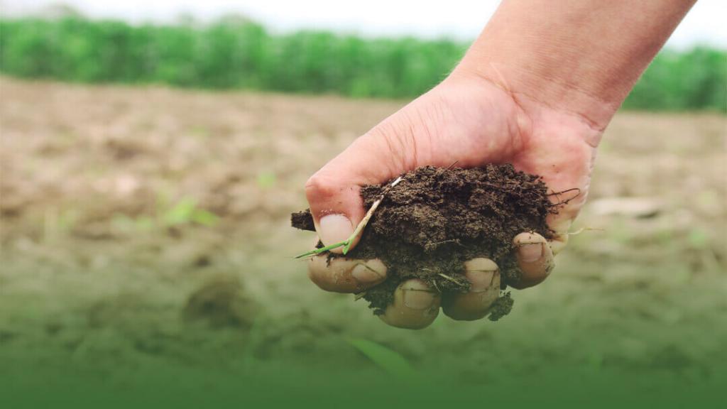 Crisis ambiental y climática amenaza la vida y producción indígena campesina y agrícola image for Crisis ambiental y climática amenaza la vida y producción indígena campesina y agrícola