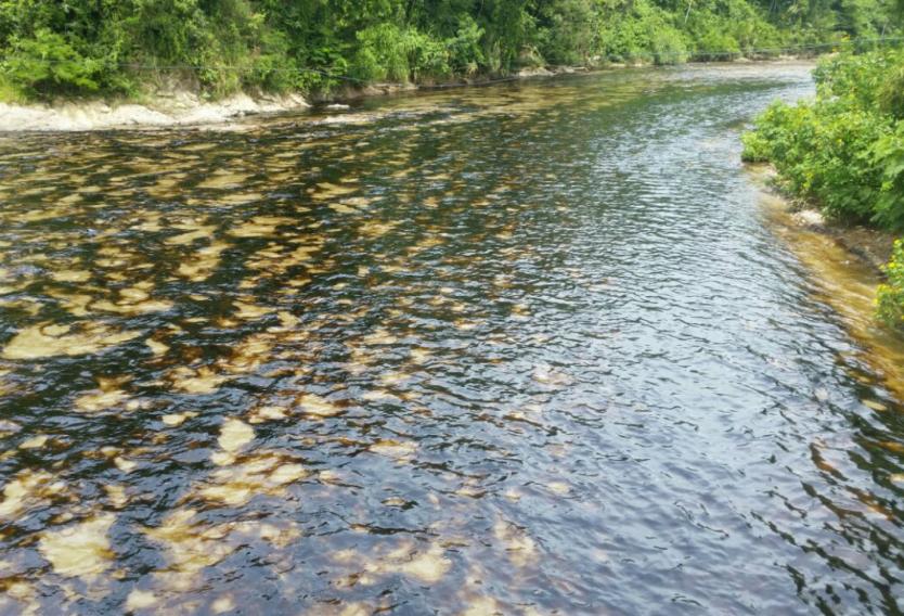 Atentados a oleoductos en Boyaca Oleoducto en Caño Limon