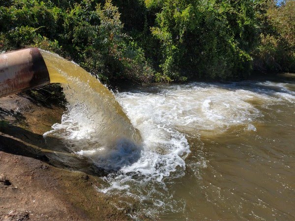 image for Suspende 22 artigos inconstitucionais da lei de licenciamento ambiental
