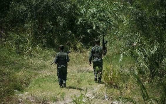 Siete colombianos fueron detenidos por militares venezolanos Personas con uniforme en entrando en un zona boscosa