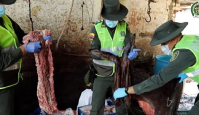 image for Estarían suministrando carne de burros enfermos en una cárcel 