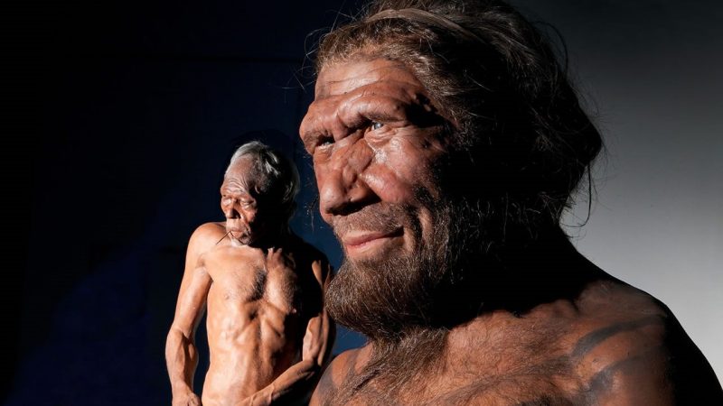 Denisovanos y neandertales en una recreacion en computador