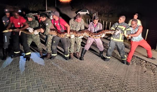 Cobra de sete metros é encontrada em represa frequentada image for Cobra de sete metros é encontrada em represa frequentada