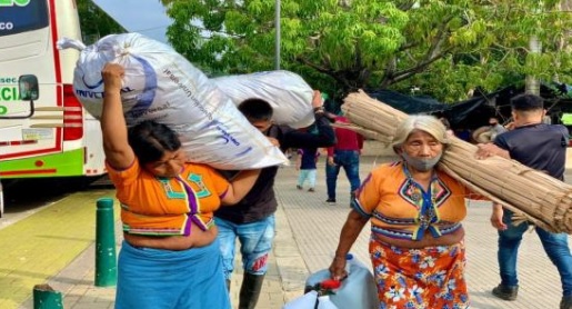 image for Centenares de familias desplazadas regresan a sus territorios