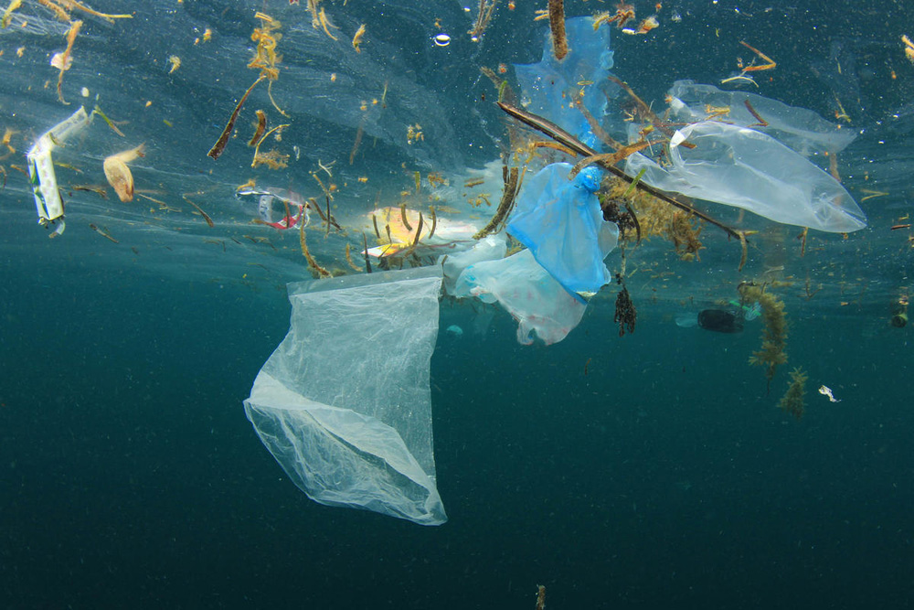Basura en el oceano