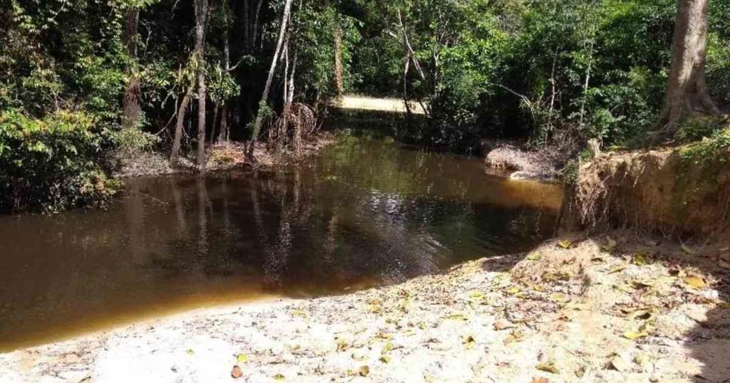 Indígenas de Leticia denuncian mortandad en lago Takana image for Indígenas de Leticia denuncian mortandad en lago Takana