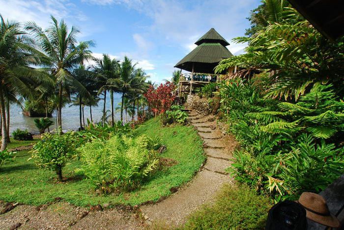 image for Choco miserable paraiso