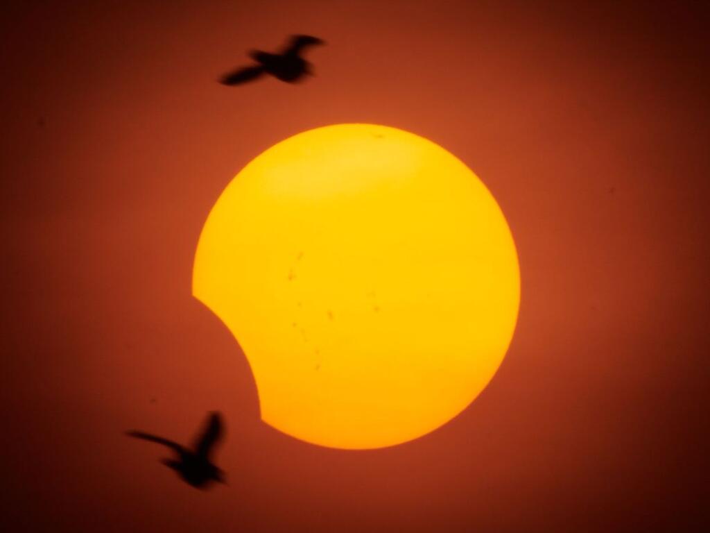 image for Eclipse solar chama atenção nesta quarta
