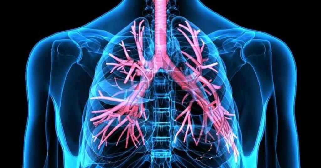 image for Conozca si padece una enfermedad respiratoria