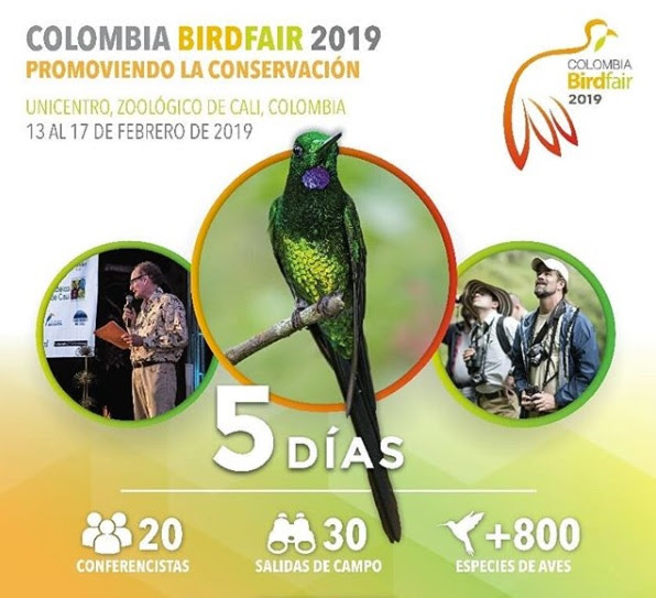 V edición de Colombia BirdFair Aves en una imagen ilustrtiva