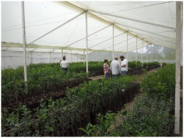 ICA entrega Casa Malla a vivero productor de cítricos en Risaralda image for ICA entrega Casa Malla a vivero productor de cítricos en Risaralda
