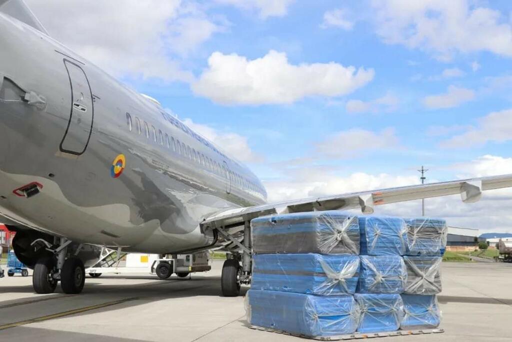 image for Fuerza Aérea  dispuso de un Boeing para transportar ayudas humanitarias