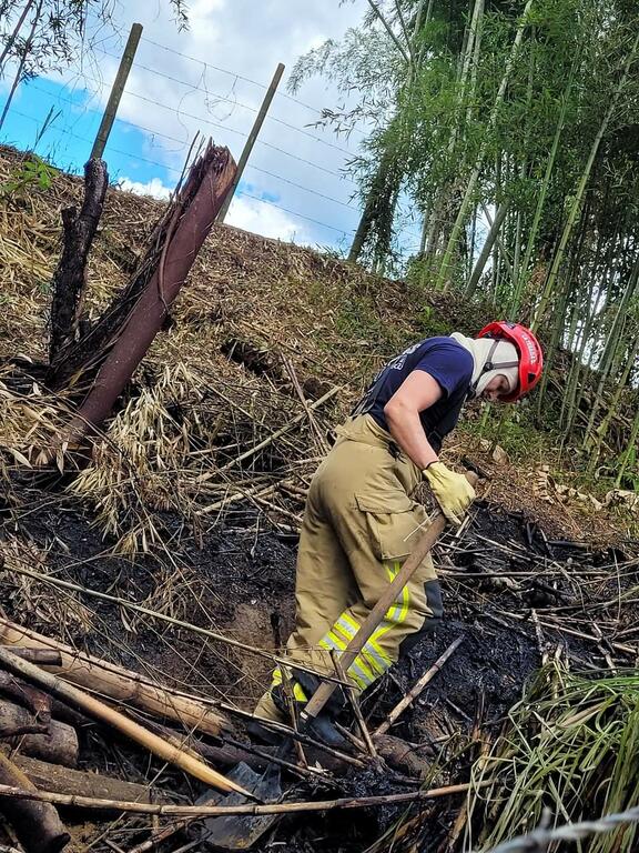 image for Bomberos atienden quema de material vegetal en la vía La Tebaida