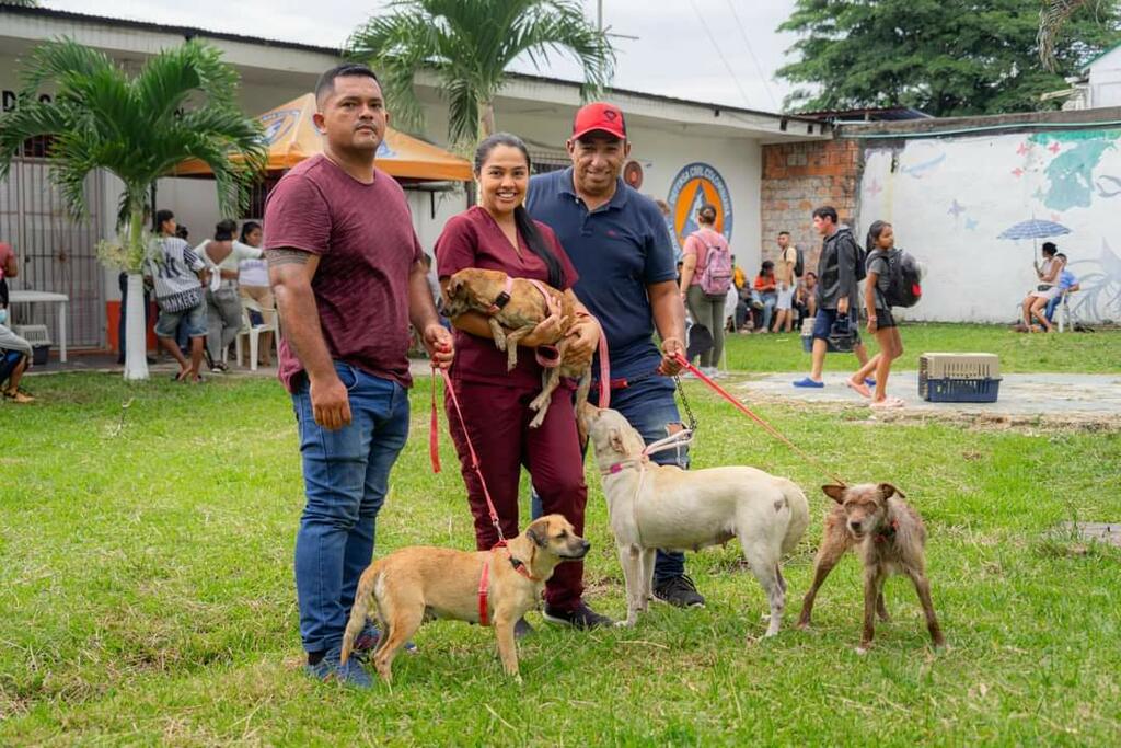 Jornada de esterilización para gatos y perros image for Jornada de esterilización para gatos y perros