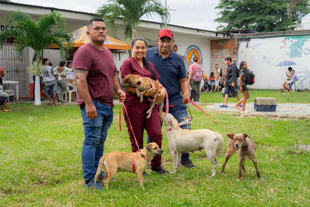 image for Jornada de esterilización para gatos y perros