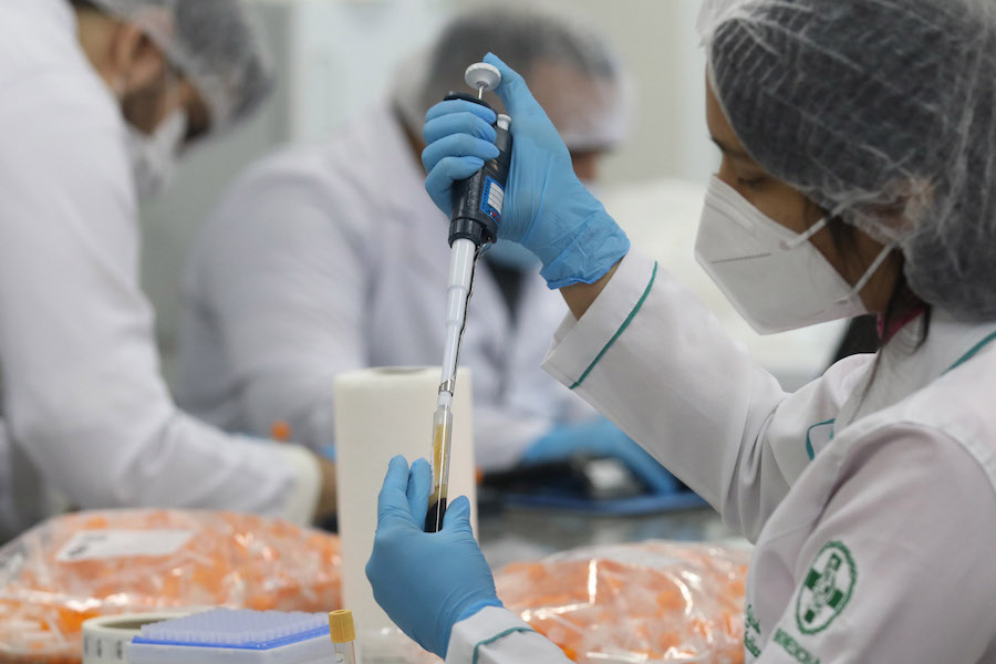 UEA monta estrutura para processamento de amostras no estudo CovacManaus image for UEA monta estrutura para processamento de amostras no estudo CovacManaus