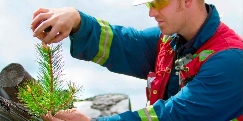 Argentina consolida su compromiso con la minería sustentable Persona con un planta en la mano