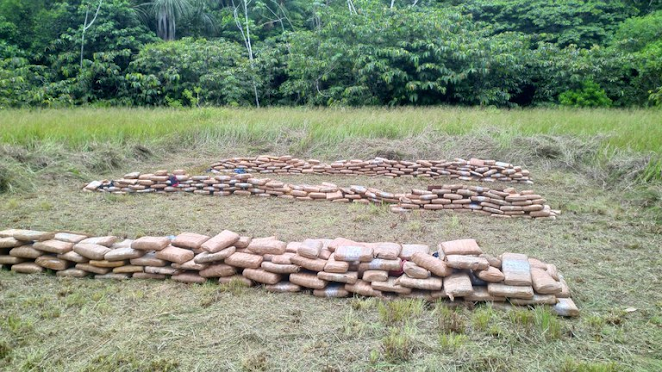 image for Polícia destruiu 700 quilos de drogas apreendidas nas diversas ações