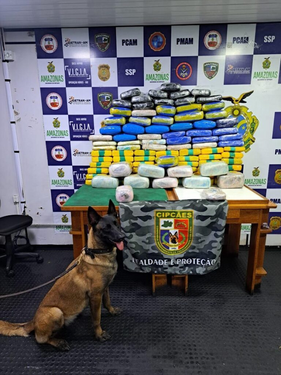 Apreende droga avaliadas em mais de R$4,4 milhões em embarcaçãon image for Apreende droga avaliadas em mais de R$4,4 milhões em embarcaçãon