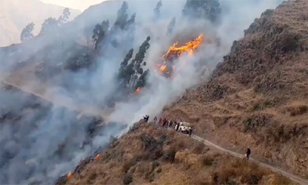 image for Incendio por más de 48 horas en sectores de Chaccapa