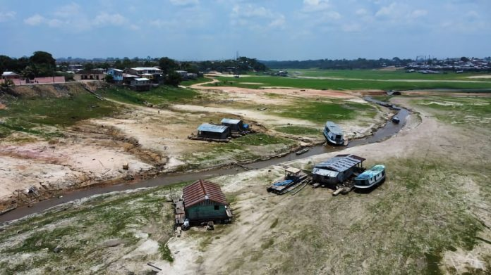 image for Estiagem trará escassez de alimentos na Amazônia