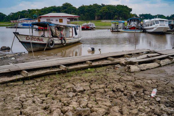 image for Cheia no Amazonas está na normalidade mas baixo volume de chuvas preocup