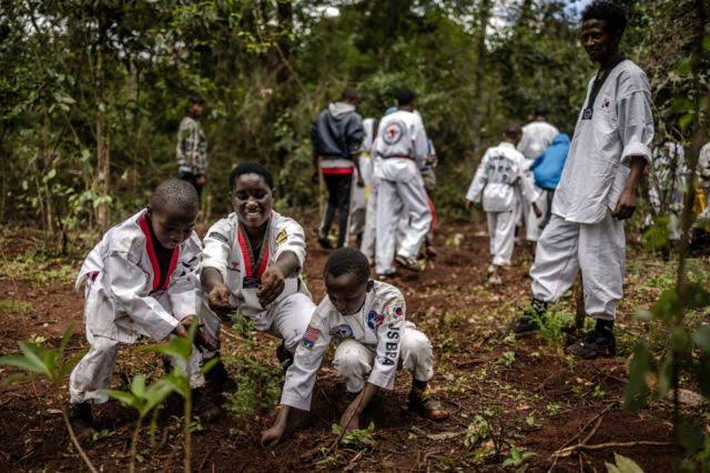 País que declaró feriado para plantar 100 millones de árboles image for País que declaró feriado para plantar 100 millones de árboles