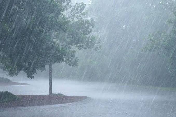 Probabilidad de que el Fenómeno el Niño Costero llegue fuerte próximo año image for Probabilidad de que el Fenómeno el Niño Costero llegue fuerte próximo año