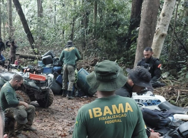 Desmatadores são presos em flagrante durante operação image for Desmatadores são presos em flagrante durante operação