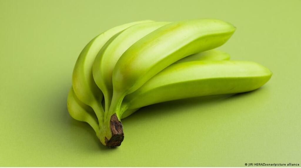 image for Comer una banana verde al día podría evitar el cáncer